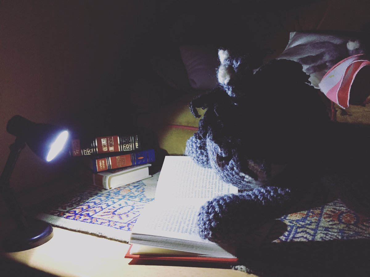LupoMeta's tweet photo. Shhh...🤫 Non disturbiamo il #MetaLupo intento nella lettura. #LibriClassici #lupopoeta 🐺💛 https://t.co/WheR5gKwnT