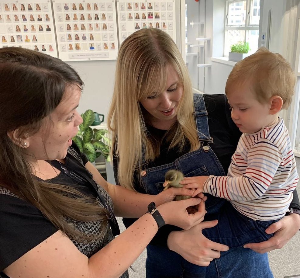 Windmill3L's tweet photo. Albie loved coming to school and meeting the ducklings today! #MusicFederation https://t.co/ds547YmGlM