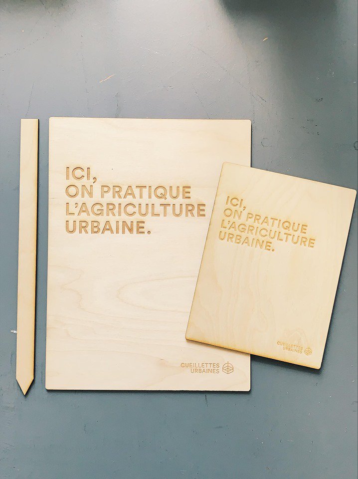 Amateurs.trices d’#agricultureurbaine, assistez le 15 juin au lancement des Cueillettes Urbaines, projet gagnant de Rêver le Montréal durable de demain, organisé en collab avec @concertationMTL et le <a href="/_FJIM_/">Forum Jeunesse de l'Île Montréal</a>. RV au Grand Potager de Verdun à 10h. #DD