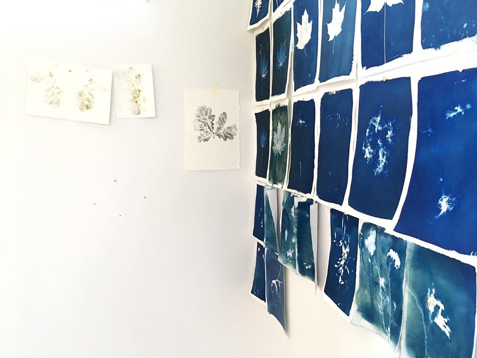 KingsbraeArts's tweet photo. What's happening at KIRA you ask? Come and meet our artists at our open studio Saturdays from 10 AM to 1 PM (130 Prince of Wales St. in St. Andrews, NB) #artistinresidence #openstudiosaturdays #exploreNB #kingsbraeinternationalresidenceforthearts https://t.co/5uFQdabI89