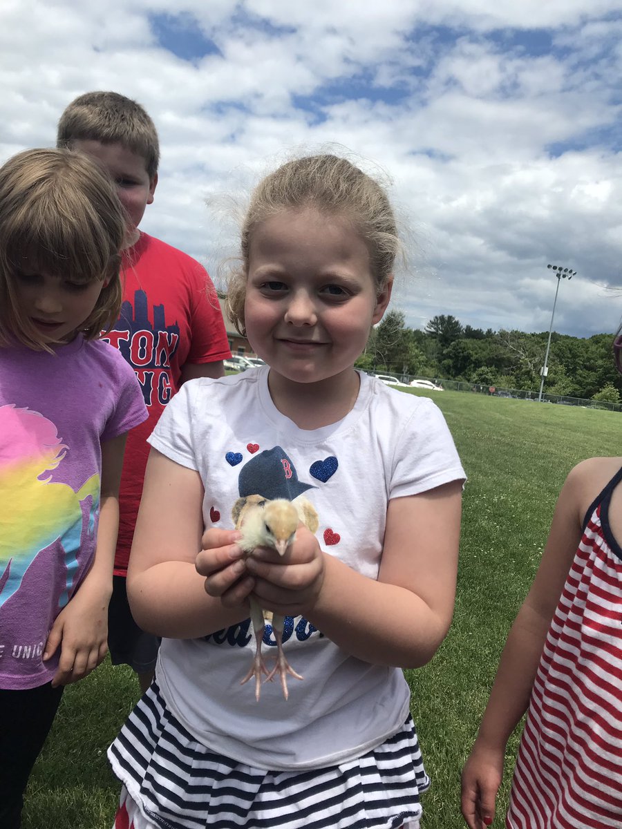 Stacey Kenney tweet media