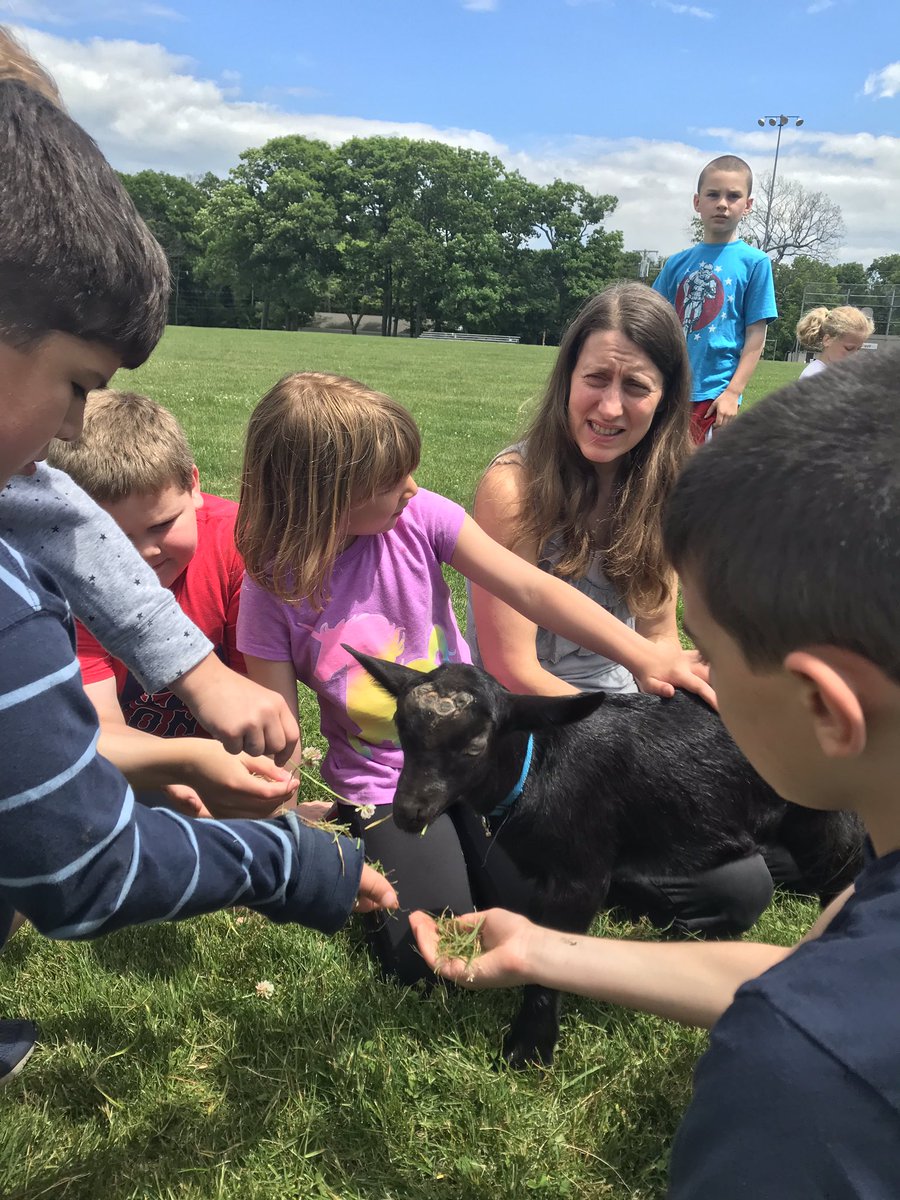 Stacey Kenney tweet media