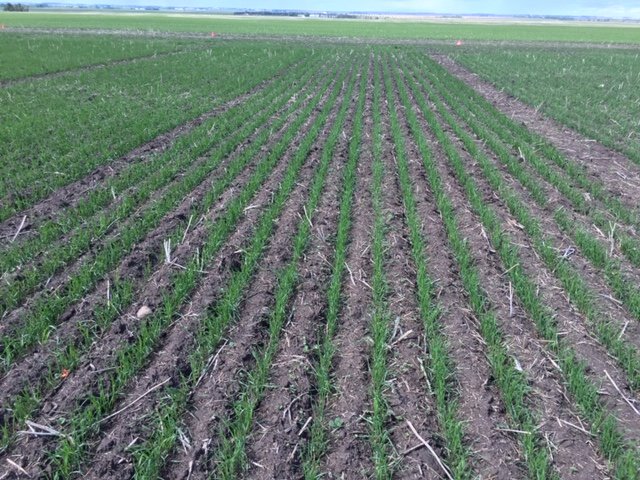 CORE Ag - Torrington tweet media