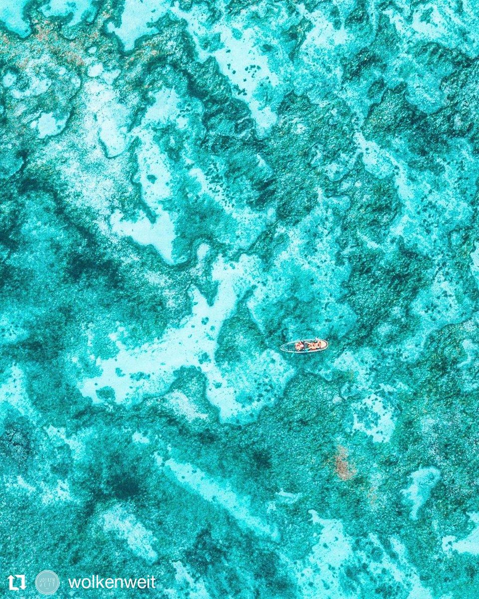 Sometimes a different perspective makes a huge difference. How about this #Viewoftheweek photo of the azure blue waters of the #Seychelles
📸: <a href="/wolkenweit/">Simone • WOLKENWEIT</a> on <a href="/instagram/">Instagram</a>