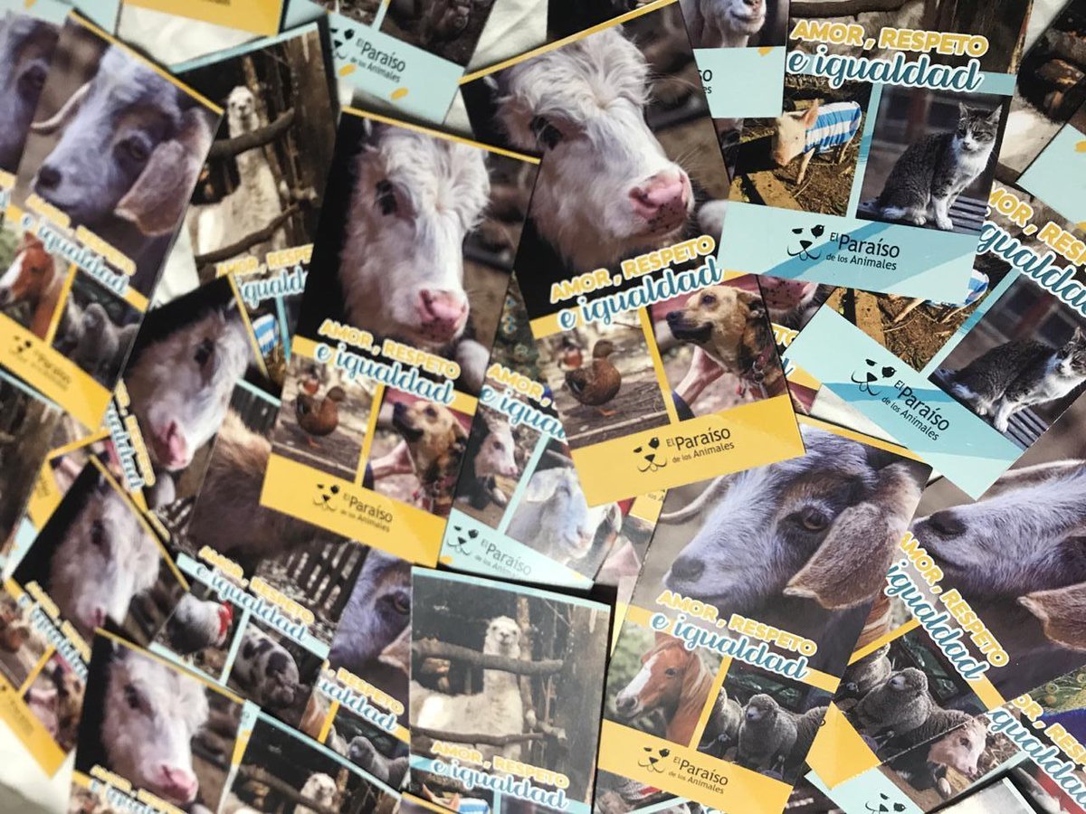 ElParaisoAnimal's tweet photo. 📣¡Llegaron nuevos productos disponibles en nuestra 𝒕𝒊𝒆𝒏𝒅𝒂 𝒐𝒏𝒍𝒊𝒏𝒆!
¡Adquirí nuestro #merchanding oficial y colaborá con nosotrxs! 💓
➡ https://t.co/8xivr7kuYQ
📍 Podés comprar online nuestros productos y recibirlos donde quieras.
.
🌈 #ElParaísodelosanimales https://t.co/vFMZLgxYmS
