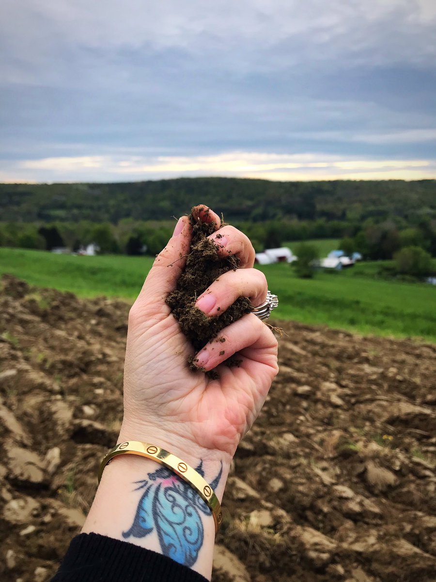 AgZeit's tweet photo. Healthy soil grows healthy food, and healthy food makes for healthy people. 😊 It’s a sweet, simple chain of events that carries consequences and yet is often overlooked. 
💚Soil Health Builds Human Health💚
#organicfarming #compost #organicsoil #chemicalfree https://t.co/ZXVFJn4o65