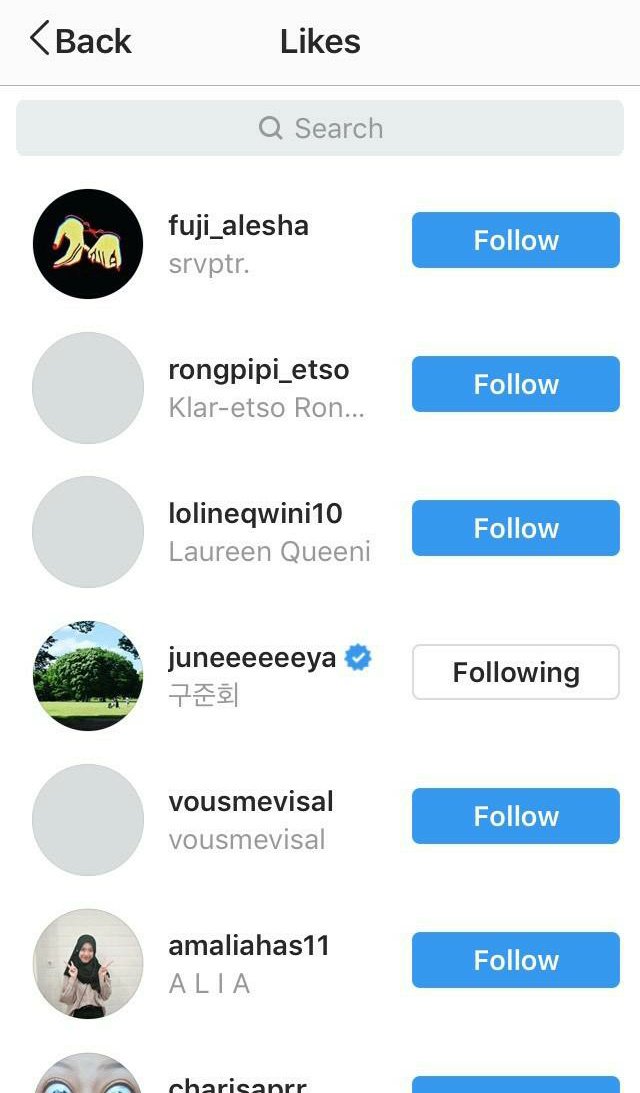 ikonictreazure's tweet photo. June like komentar iKONIC di instagram 😭😭😭 Berarti mereka emang online dan pantau kita . Tetep kuat dan semangat iKONIC. Terus tunjukkan support kita buat iKON. 
 #7OGETHERWITHiKON #HANBINSTAYWITUS #iKON #아이콘 https://t.co/wIbMcSJKeU