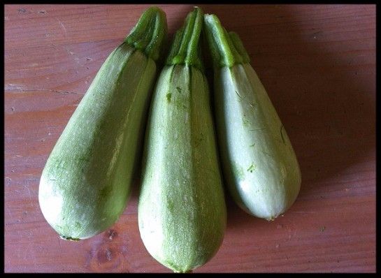 Grilling Time for Dads &amp; those who love 'em! - mailchi.mp/8e3a07c07bfe/w…