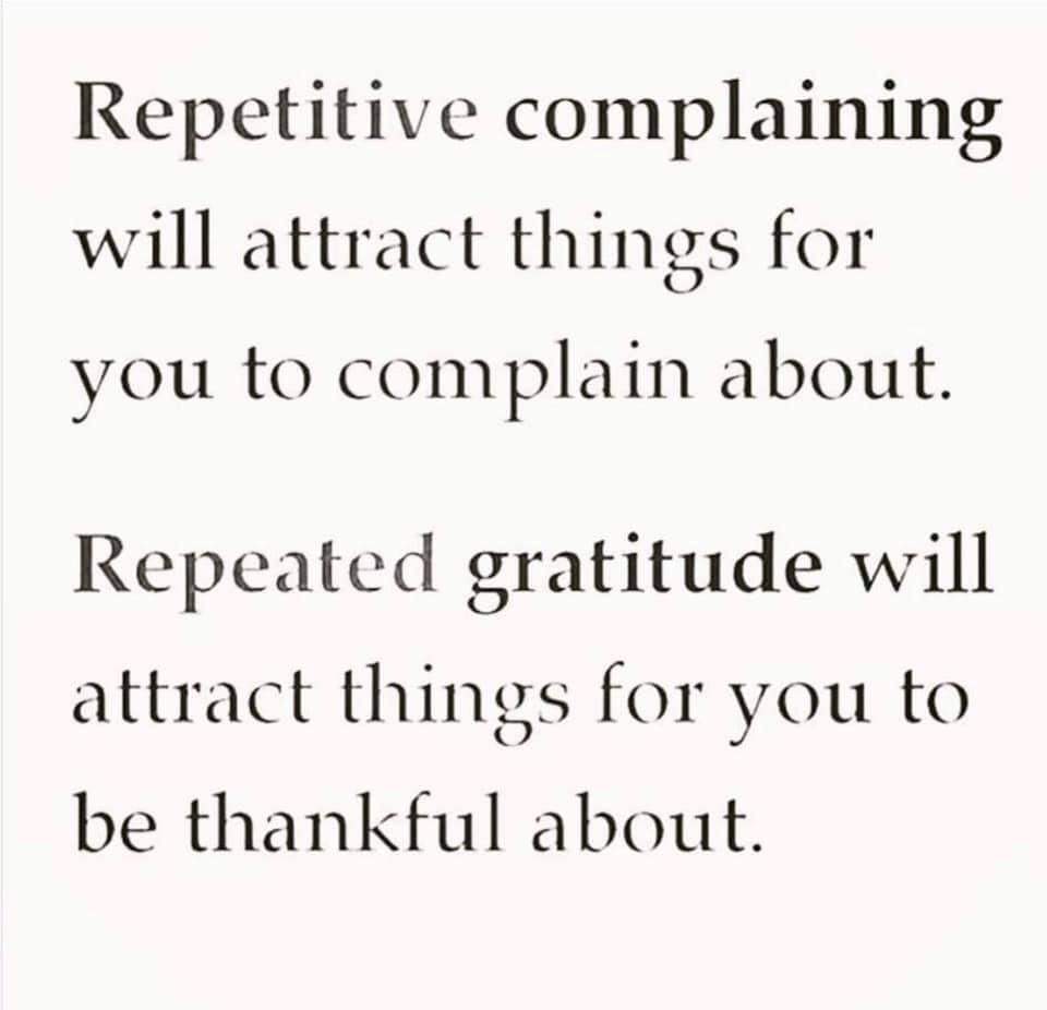 cncottrell's tweet image. 