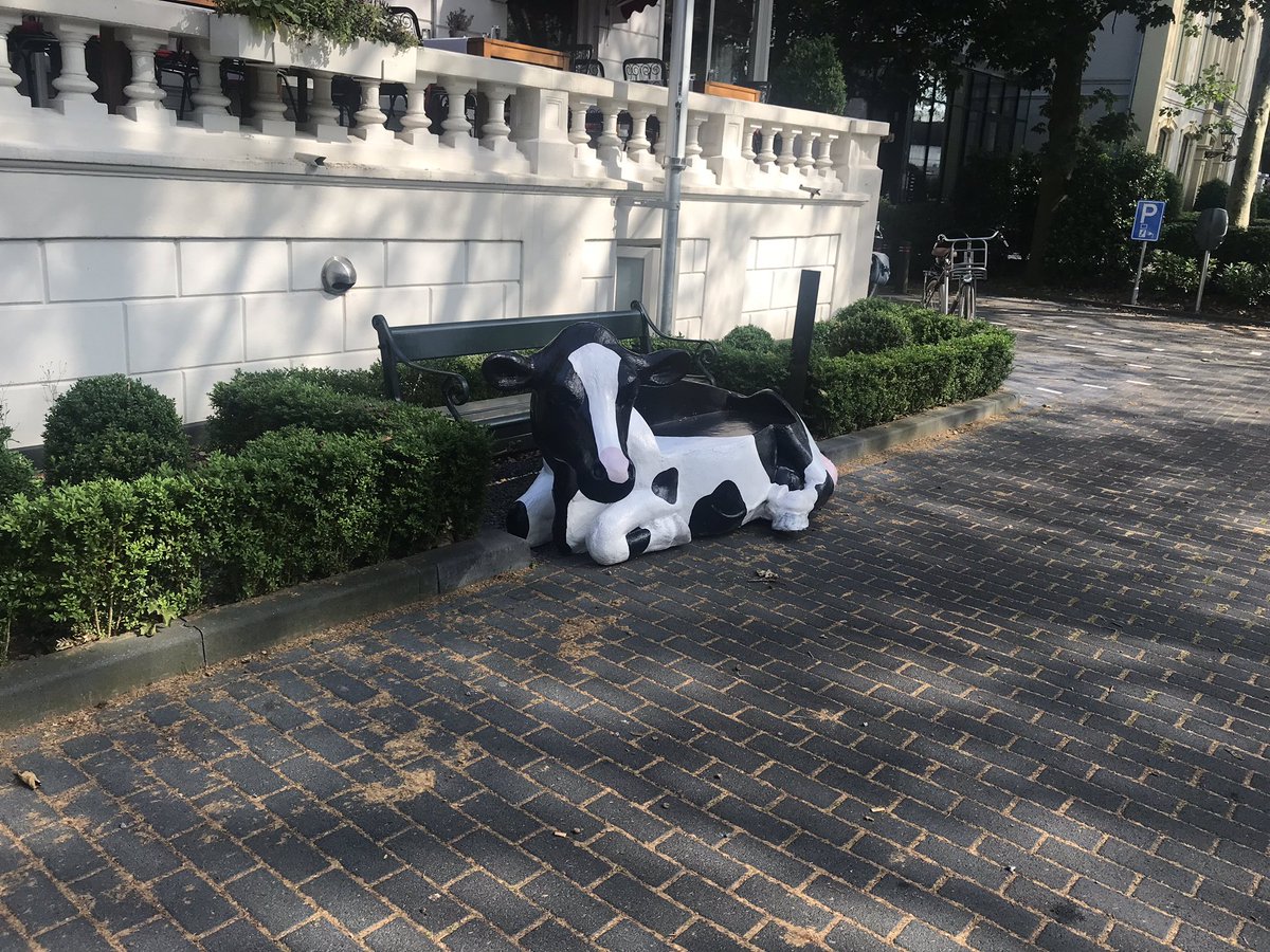 Persconferentie <a href="/marathonzwolle/">Zwolse Halve Marathon</a> met onder meer William Wanjiku, Richard Mengich en Hellen Berger-De Vries van start! #zhm19 #zwolle #hardlopen