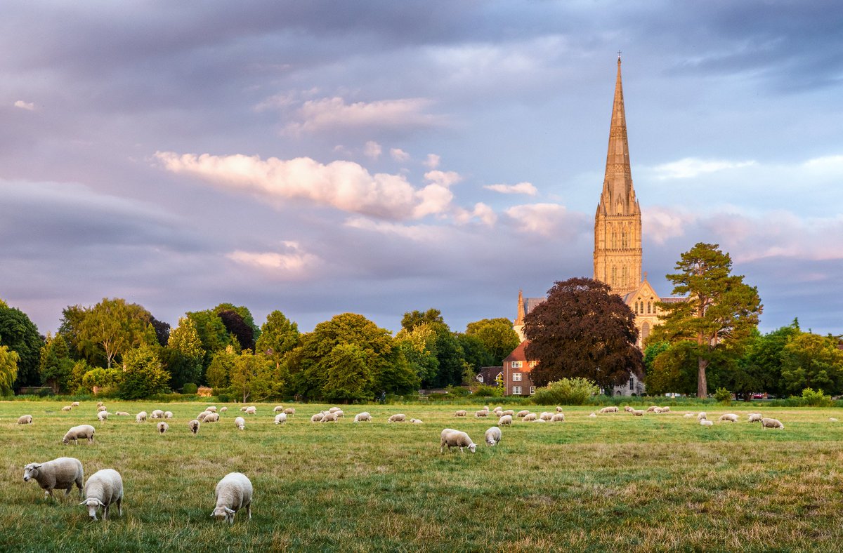 martinjamescook's tweet photo. Calling all Intensive Care Consultants. Join our 'outstanding' multidisciplinary team in Salisbury. We have fantastic schools, the world renowned Salisbury Cathedral - in the midst of beautiful countryside @ICS_updates @FICMNews @RCoANews @BMJCareersHosp https://t.co/qor6yeDb0Q https://t.co/tvbmJo3pvH