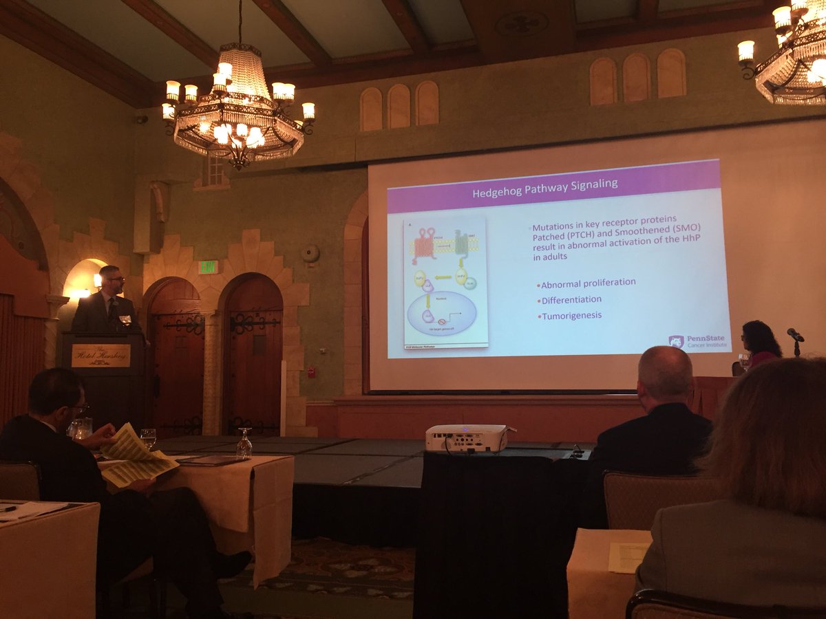 Pamela Roehm tweet media