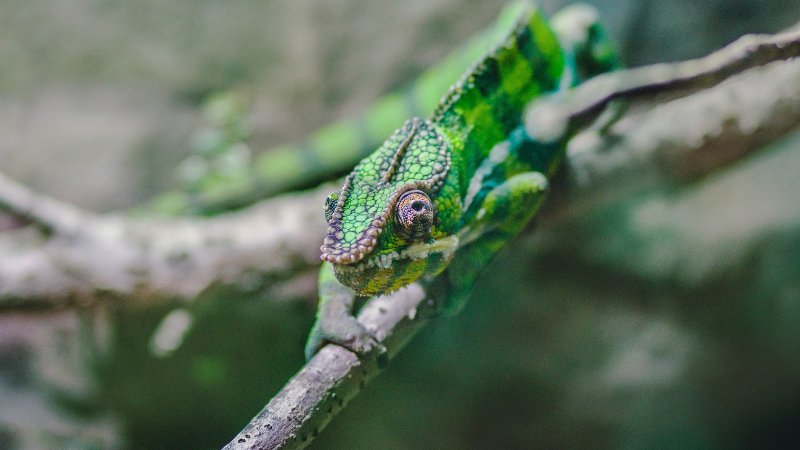 The first step in beating #dangers lurking within is to recognise the possibility they exist. After that an #intelligent #UEBA tool can raise the alarm and help your #SOC respond. Find out more in this new blog ow.ly/xBmV50uEc72