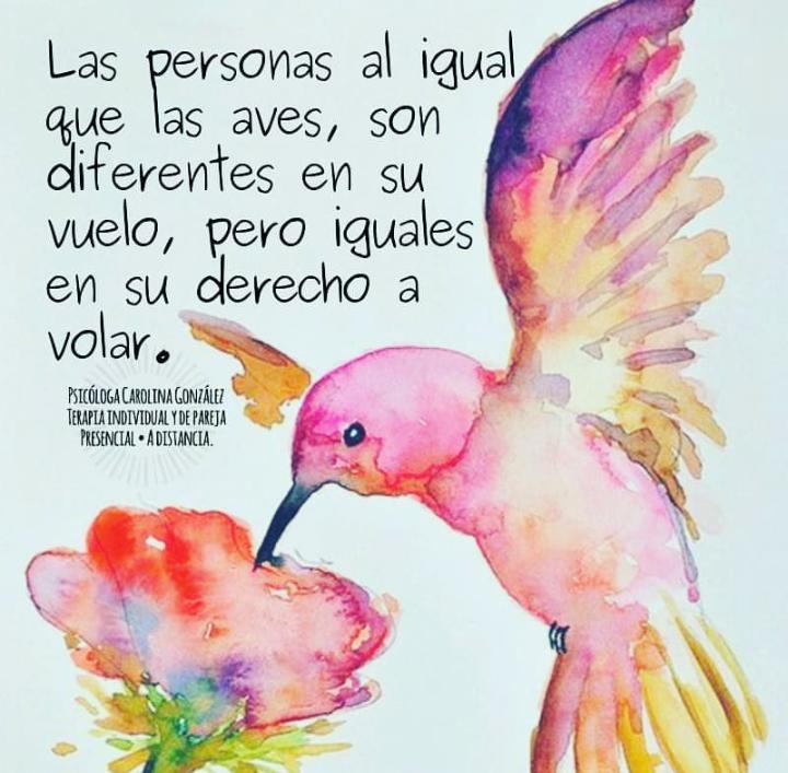 Fabiola Rosas C. tweet media
