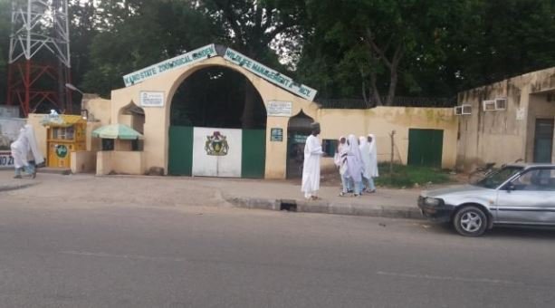 vanguardngrnews's tweet photo. Shocking: Gorilla allegedly swallows N7m in Kano zoo
 https://t.co/9XHWB2TBPP https://t.co/yHb7xsyAUZ