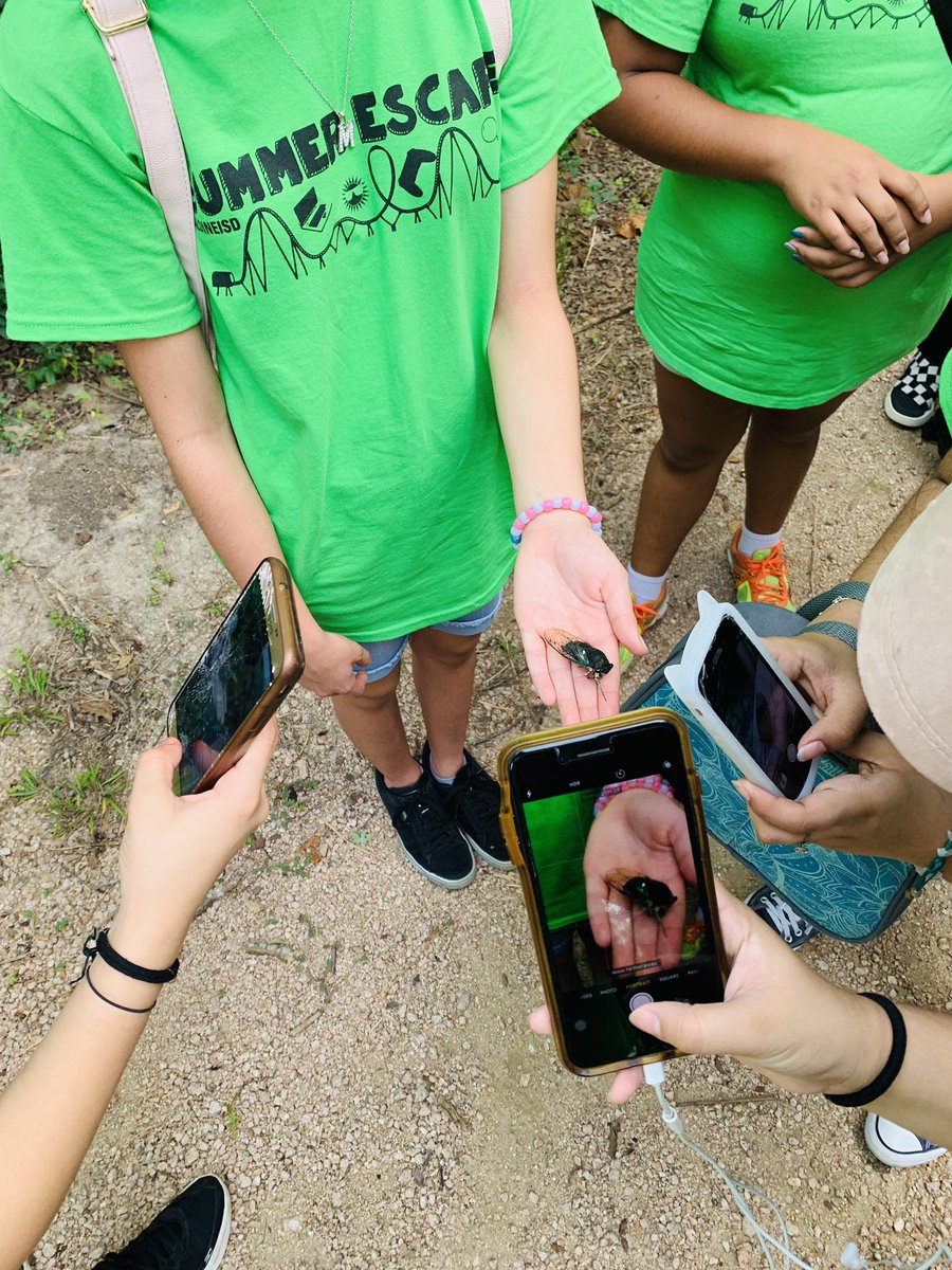 Carlos Díaz tweet media