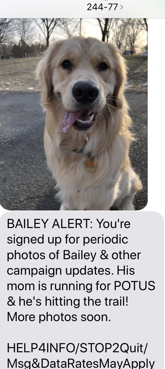 TaffyUnleashed's tweet photo. Follow my friend @FirstDogBailey by texting 244-77! 

Bailey is being treated as a Star 🌟 while Mike Hatch and @LoriSwansonMN barely let me define myself. I am proud of Bailey and her leadership. 

🐾🐾 https://t.co/5exUELDXdE