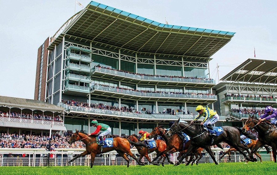 YortonFarm's tweet photo. Read about how Chris Edwards' experiences as an owner of racehorses have been a key part in the development of Yorton Racing  https://t.co/W4VGaSXcH5 https://t.co/CsAb5GpecR