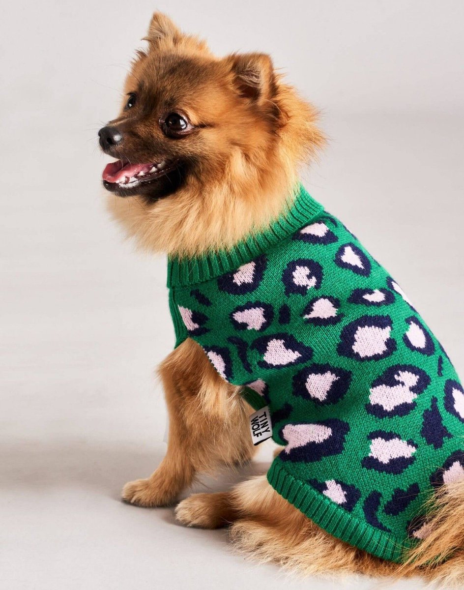 Makethemroar's tweet photo. Weekend plans? This dog jumper will brighten up your walk! https://t.co/0XhKjk5Fks
#FridayFeeling https://t.co/CU7rbDmHer