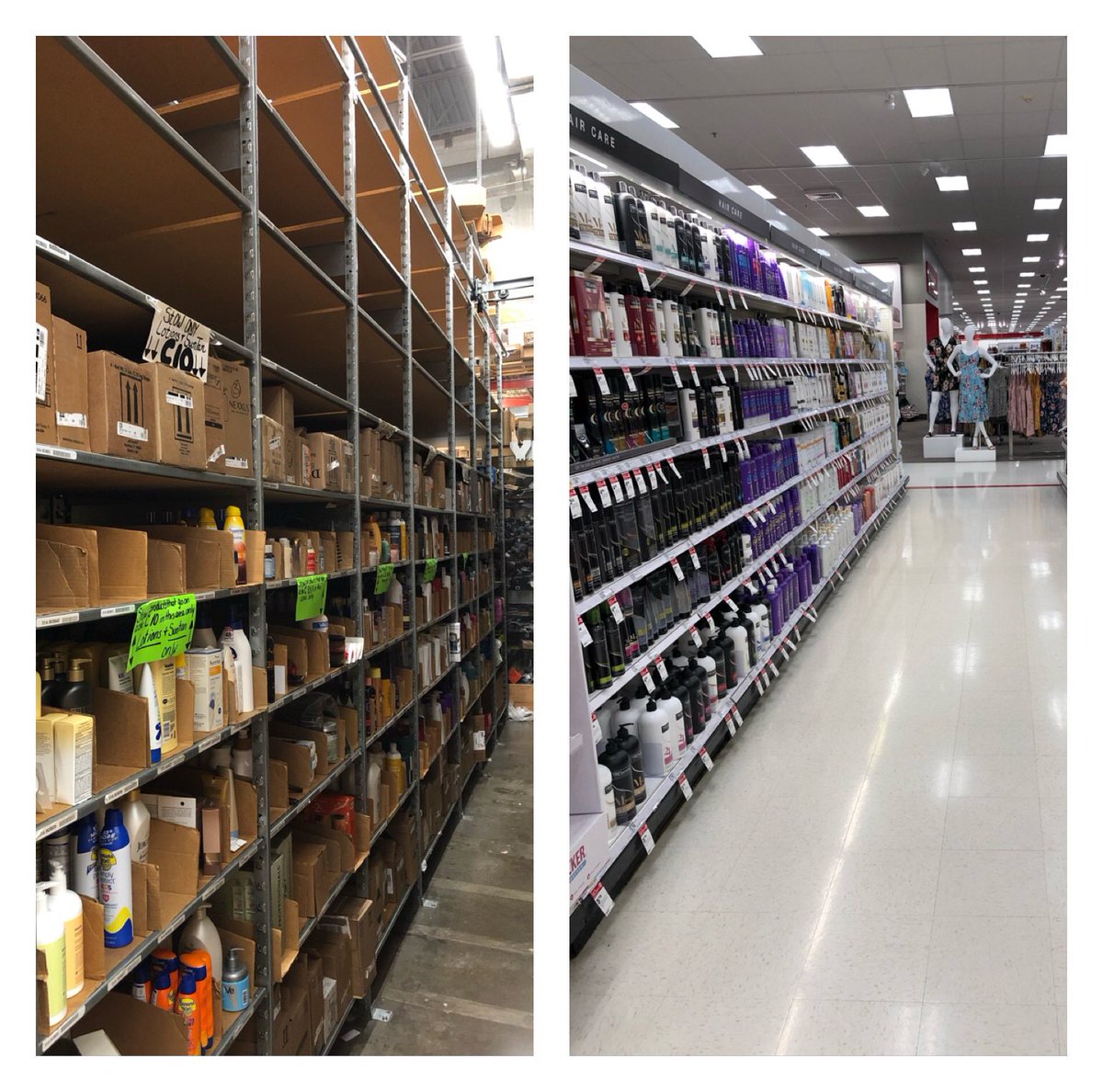 Sharon Nelson tweet media