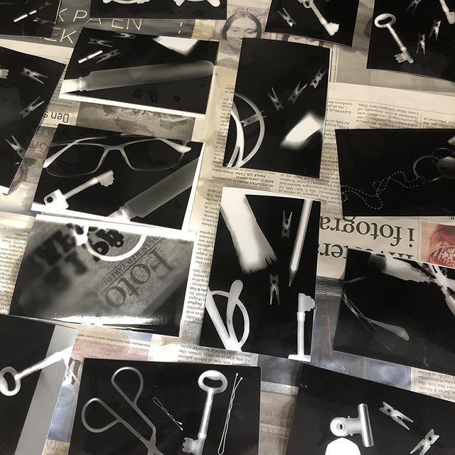 FLHS Photog tweet media