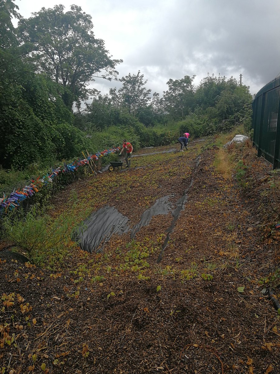 laur_winning's tweet photo. Favourite day of the working calendar, when we get to give back and what better way to give back then go to your besties school and  help them transform the garden so the kids have somewhere green @BlarneySt #TrendCares #serviceday #trendmicro https://t.co/fuYOmrHH5j