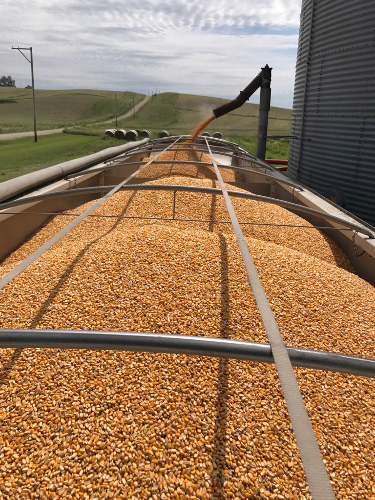 brian_butler80's tweet photo. Old 9550 was dialed in #cleancorn https://t.co/UASM9fTBRg