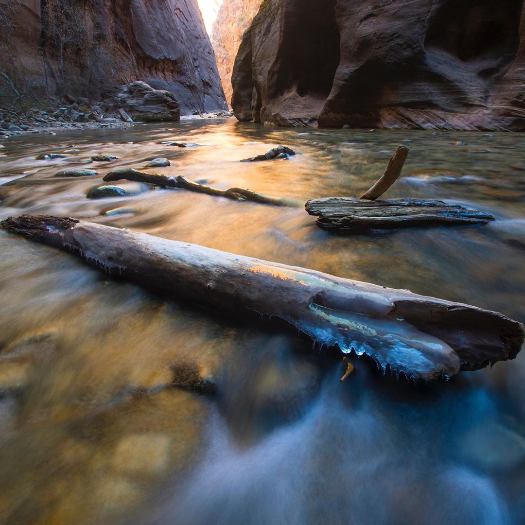 Zion_NP_Utah's tweet photo. *** FEATURE FRIDAY ***

Anyone else still as shocked as we are that the Narrows are still closed this year?

📸 PC: Mike Carr

#thenarrows #zionnationalpark #hikezion #getoutside #zionnps #narrowshike https://t.co/4bqUONV7J3