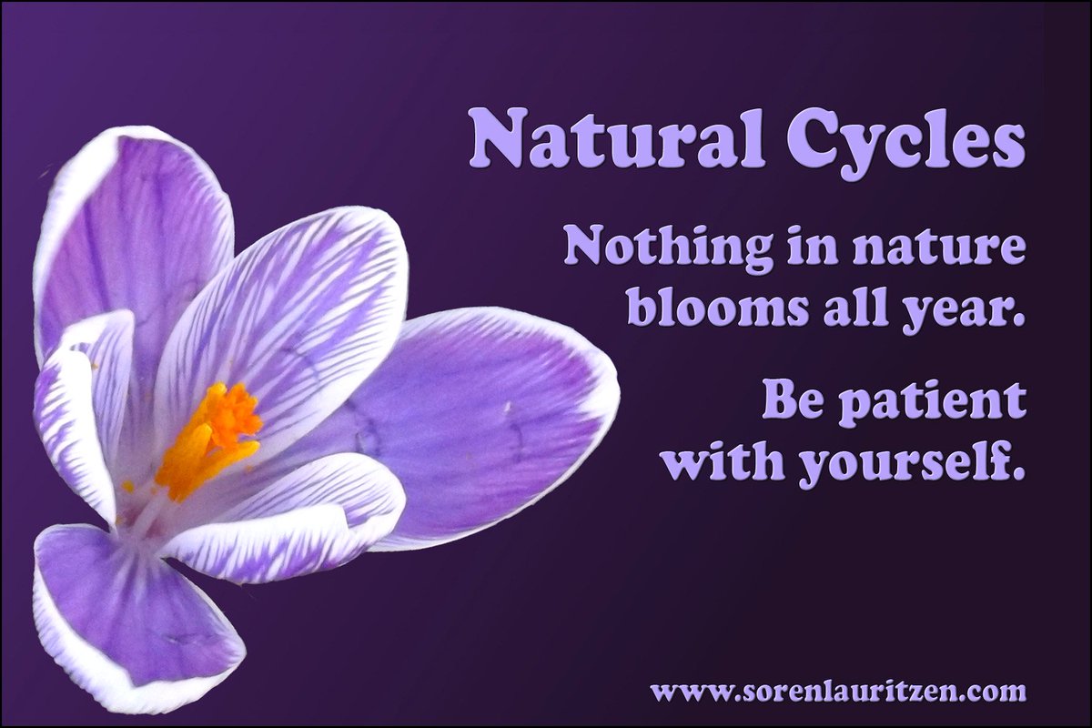 Natural Cycles

Nothing in nature blooms all year.
Be patient with yourself.

sorenlauritzen.com

#lifequotes #saying #quotestoliveby #empowerment #inspiring  #inspirational #quote #inspiration #quotation #life #wisdom #spiritual #awareness #quotes