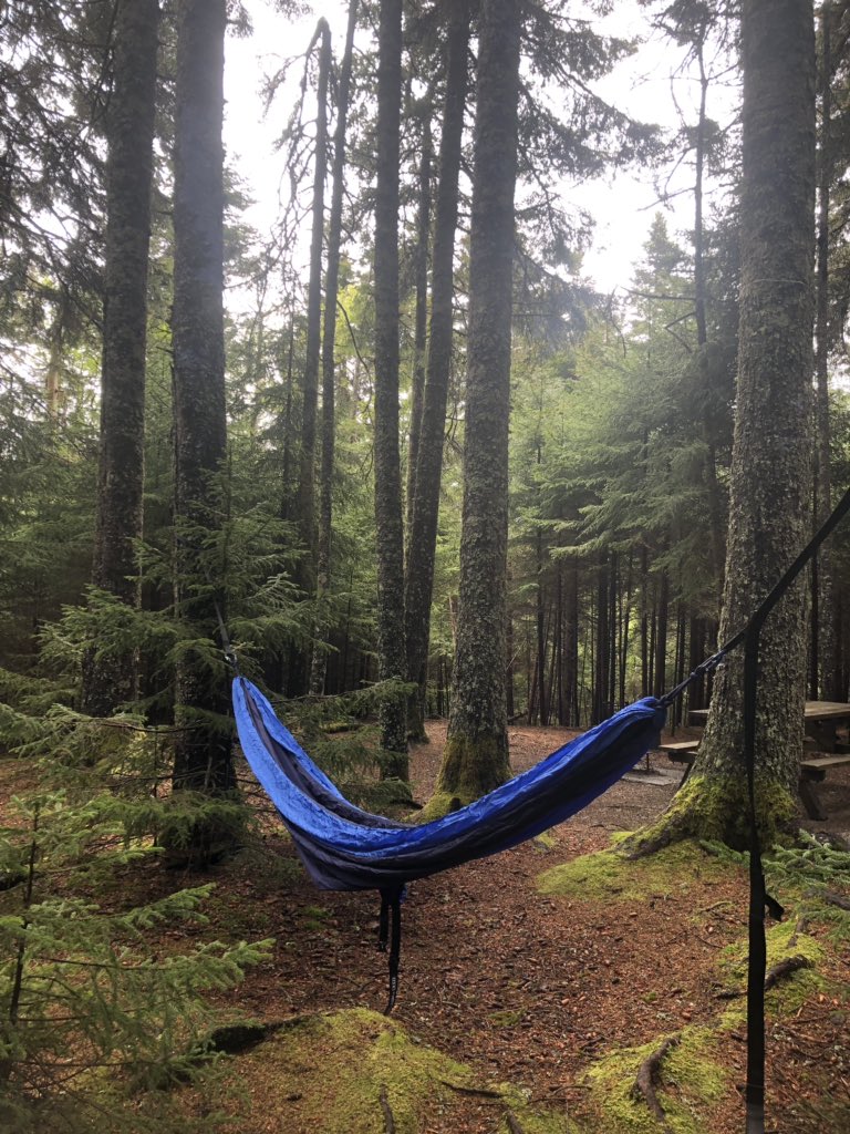 Splitting my time between putting practice and reading. @FundyNP #fundynationalpark #camping #discgolf #hammock @InnovaDiscs