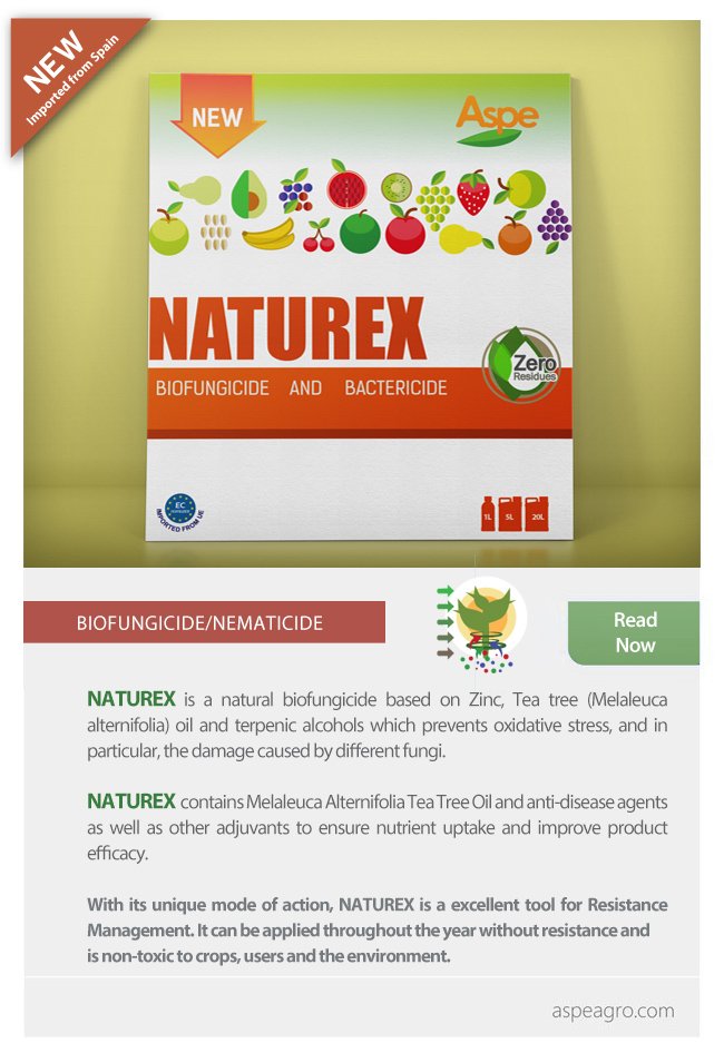 NATUREX is a natural biofungicide based on Zinc, Tea tree (Melaleuca alternifolia) oil and terpenic alcohols which prevents oxidative stress and...

Read more at:
aspeagro.com/en/news.html