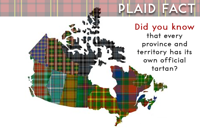 mattyplaid's tweet photo. #PlaidForDad fun fact! https://t.co/4I8OUclev2