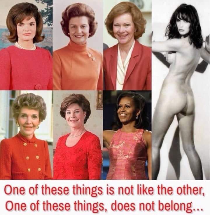 TheLazyGecko's tweet image. 