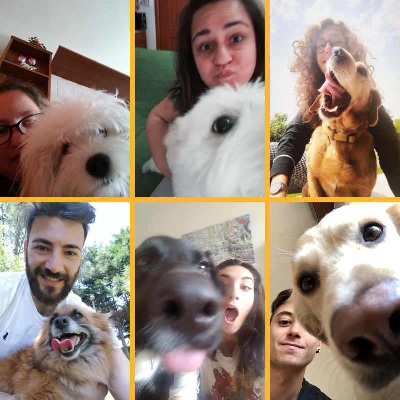 C'è sempre da fare qualche scatto di prova prima del selfie perfetto!! 🐶🤣 #dentastix #selfiestix #insiderselfiestix #selfiestixchallenge