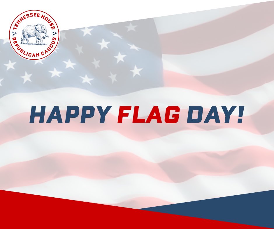 tnhousegop's tweet photo. Today, we honor our flag! #ProudToStand https://t.co/xtOZi9fGPp