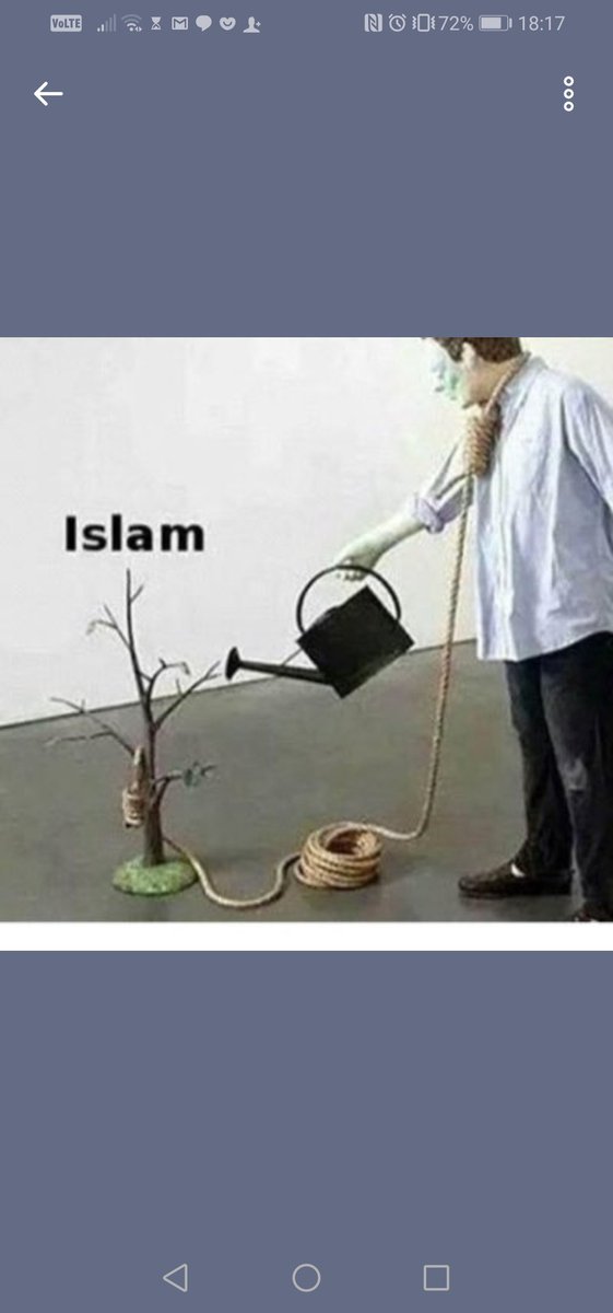mamiracoli's tweet photo. De Mechelaar steekt zijn islamofobie niet onder stoelen of banken. Toch gevolgd door @de_nva
#trolliewollies https://t.co/WIRWWHxaRI