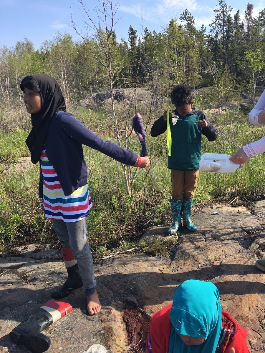 andrea_leask's tweet photo. Literacy with a Northern focus group surveyed Range Lake in search of pond invertebrates. We found some!
#rangelakenorth  #innovationyk1 https://t.co/s4TL2HnJxb