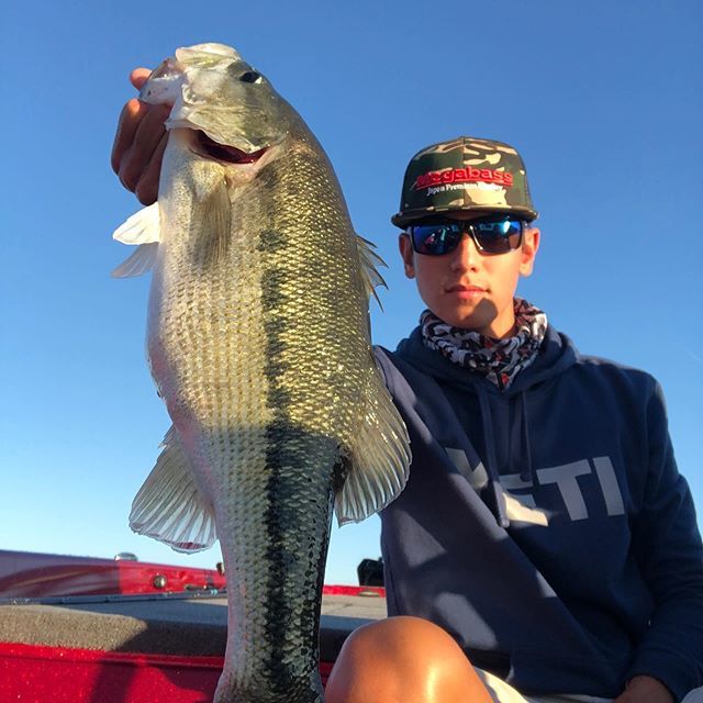 madwalt31's tweet photo. Anotha one 🐷 #ding https://t.co/YzEBsko00t https://t.co/zEeu0UVDiZ