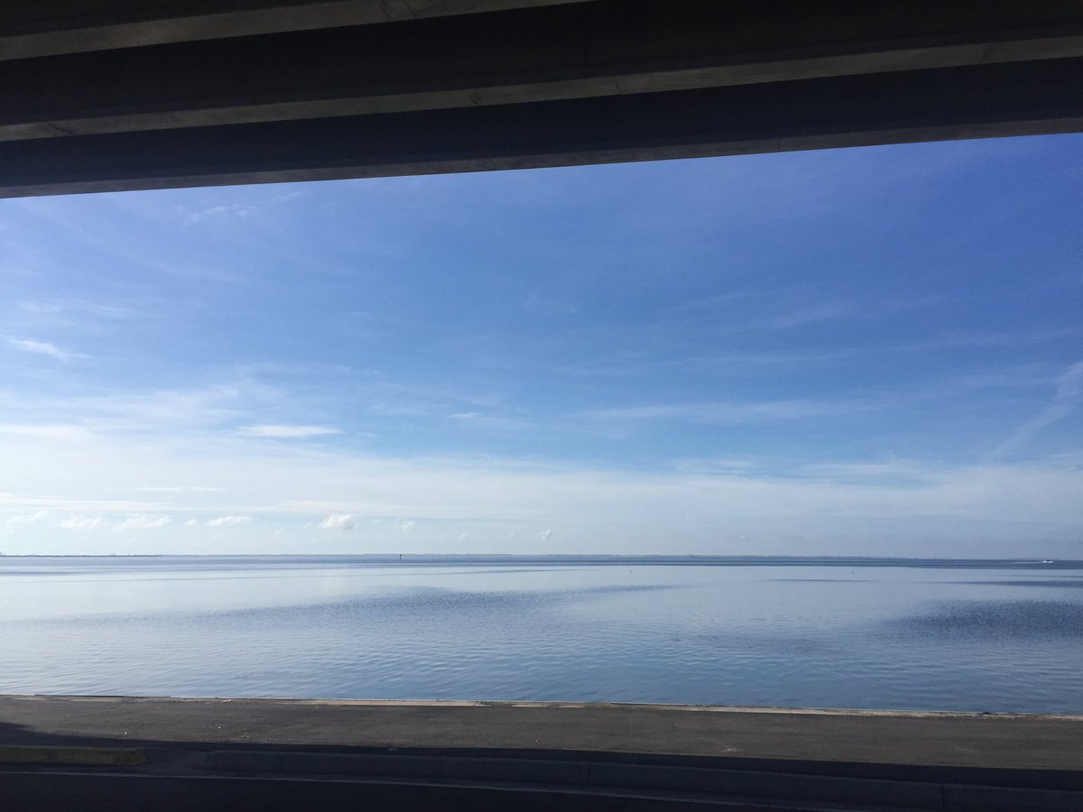 Hubbs_MMRR's tweet photo. The Indian River Lagoon (IRL) is looking beautiful today! Did you know the IRL is home to 50 threatened or endangered species including 12 plants and 36 animals? #helpseachange #indianriverlagoon https://t.co/5spaXc90hP