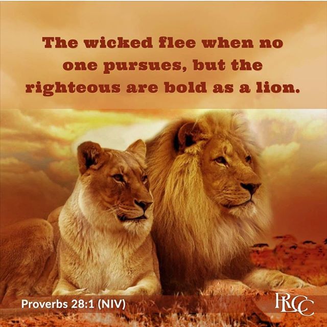 RLCCNanuet's tweet photo. # VOTD "The wicked flee when no one pursues, but the righteous are bold as a lion" ~Proverbs 28:1 (NIV)
.
#RLCCNanuet #NanuetNY #Nanuet #GodisLove #GodLovesYou #Faith #FaithinGod #Praise #PraiseGod #JesusisLord #WordofGod #PowerofGod #Salvation #JesusSav… https://t.co/kOvSMNf4vu https://t.co/nTAh6cc1EJ