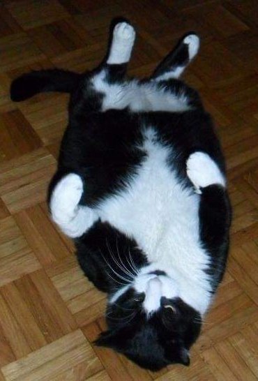 Chatrenard Hashtag On Twitter