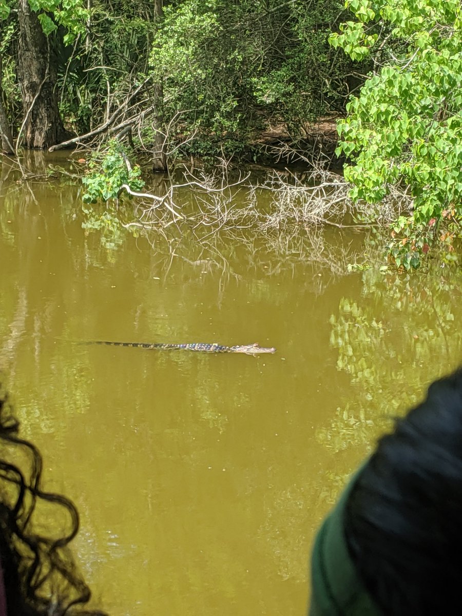 Tara Wodzicki tweet media