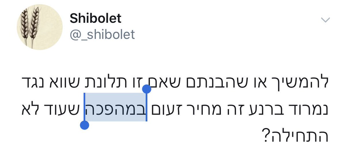 Tal Harris tweet media