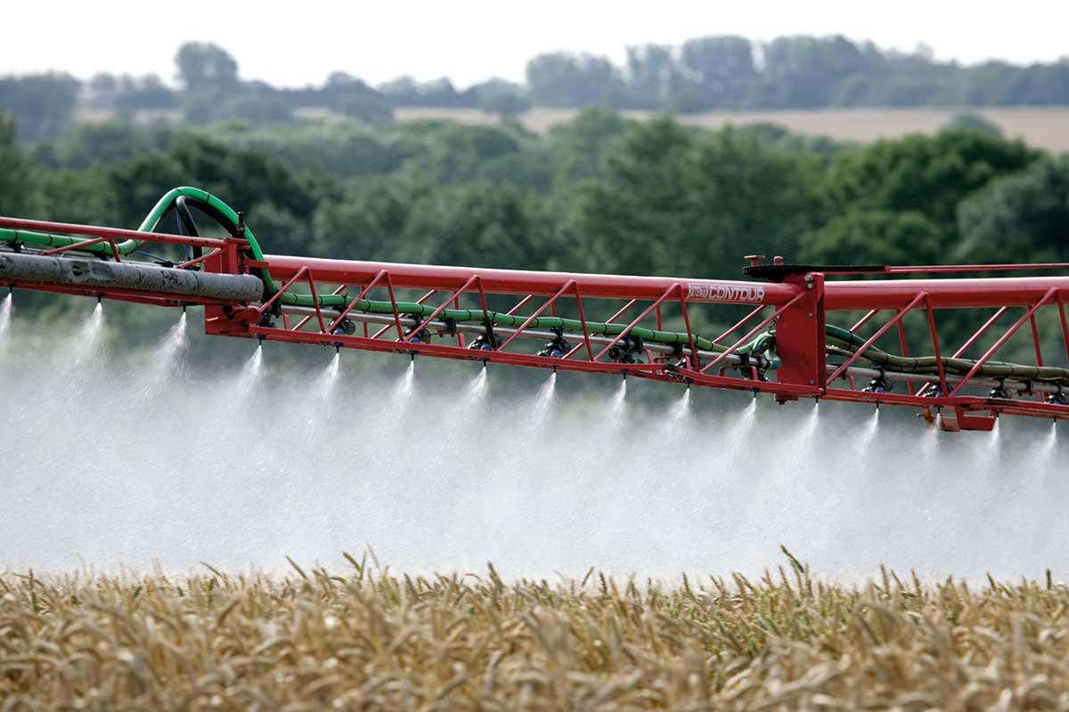 newscientist's tweet photo. Superweeds are on the brink of becoming resistant to all weedkillers https://t.co/QwaMzvvLXO https://t.co/hgRfbsstMc