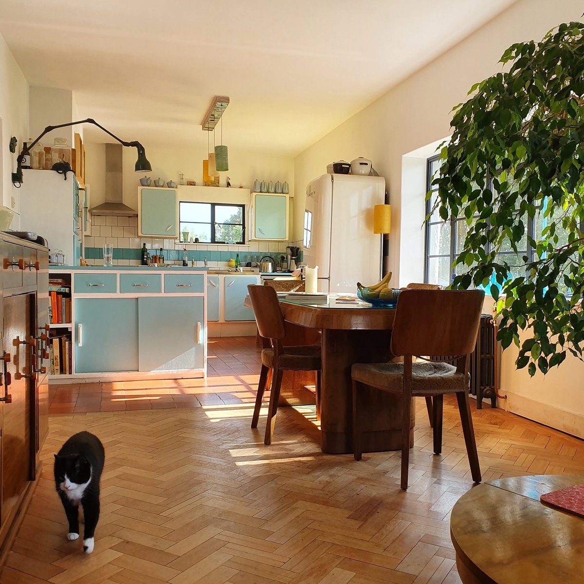 ControlTowerNC's tweet photo. Behind the scenes at #CTHQ
This is where we hang out with the #controltowercats
=^.^= =^.^=
#retrokitchen #norfolklight #loveControlTowers
β‘β‘β‘β‘β‘β‘β‘β‘ https://t.co/P5oBoQZ3x1