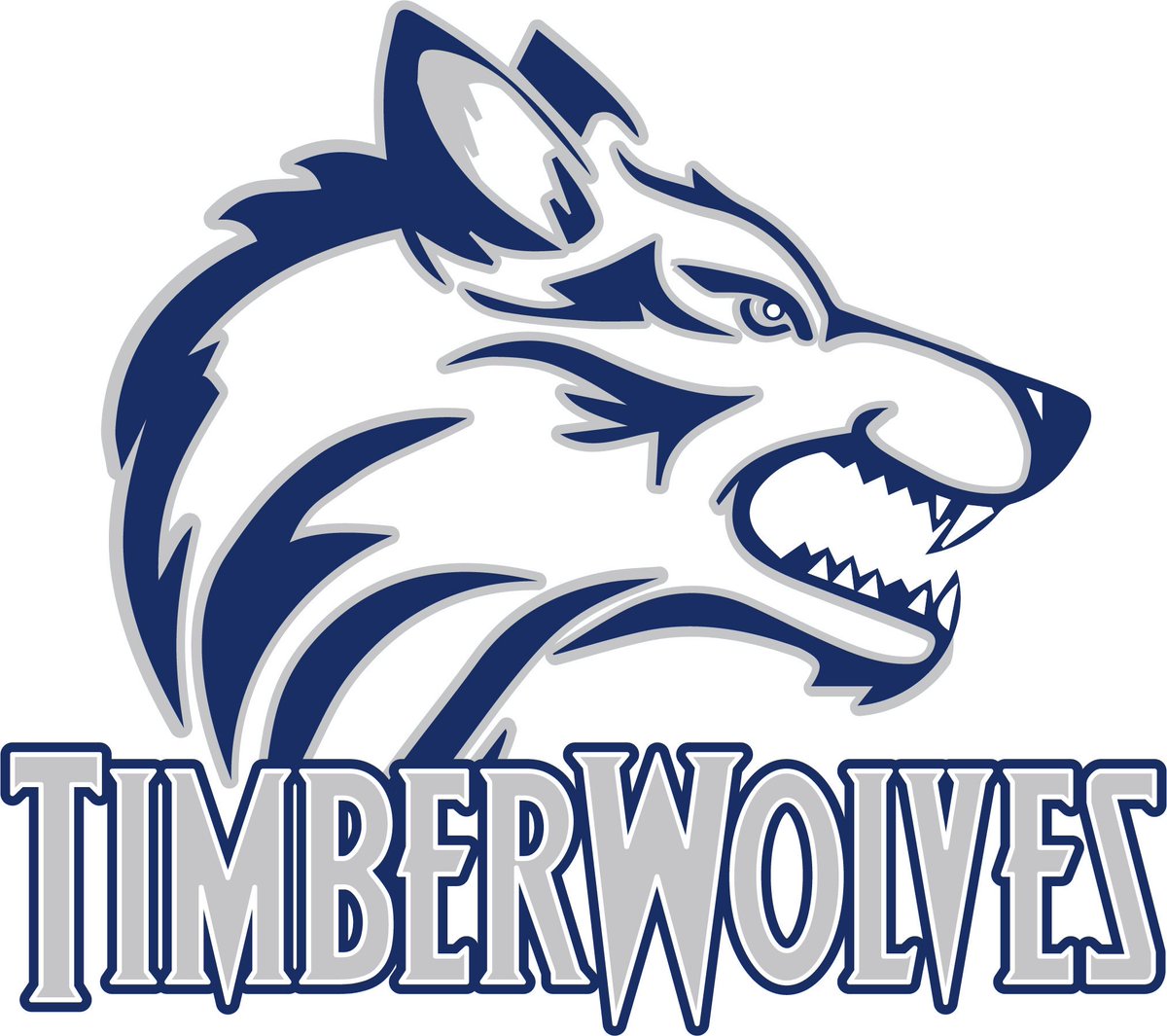 __Tovar__'s tweet photo. The journey isn’t over yet🤙🏽⚾️🐺🔵⚪️#Committed https://t.co/yUl6D4bErk