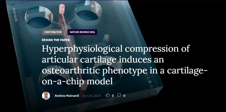 natBME's tweet photo. A microphysiological cartilage-on-a-chip that enables the application of strain-controlled compression recapitulates the mechanical factors involved in the pathogenesis of osteoarthritis.
#InTranslation
https://t.co/Ldea9DjWUX
https://t.co/53LHEfkGQy [Paper] https://t.co/rn5fTdsF77