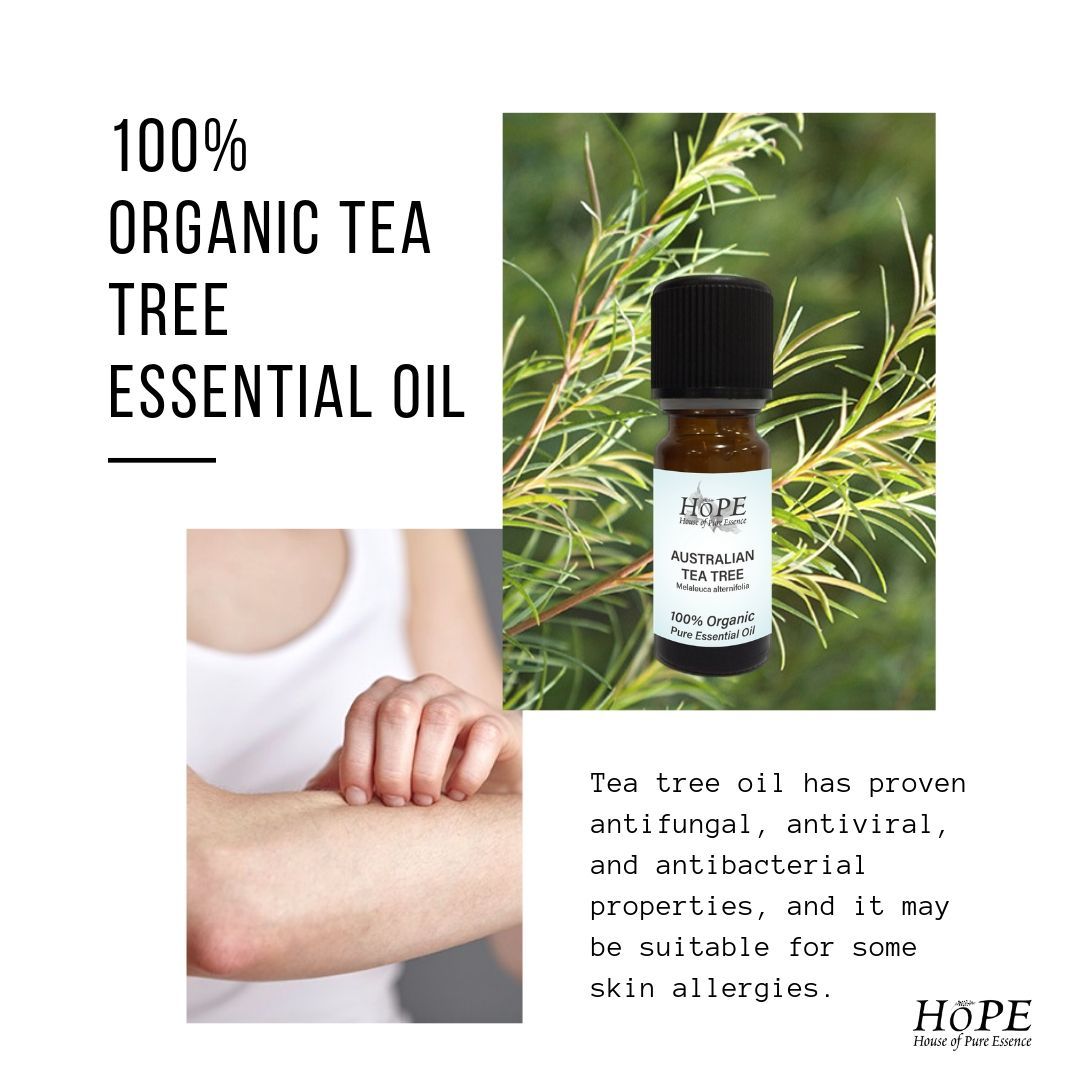 🌿Tea tree oil has proven anti fungal, antiviral, and antibacterial properties, and it may be suitable for some skin allergies.

👉Visit buff.ly/31qDu8v on how to use it correctly
#essentialoils #essentialoil #houseofpureessence #teatreeoil #skinrashes #skinallergy