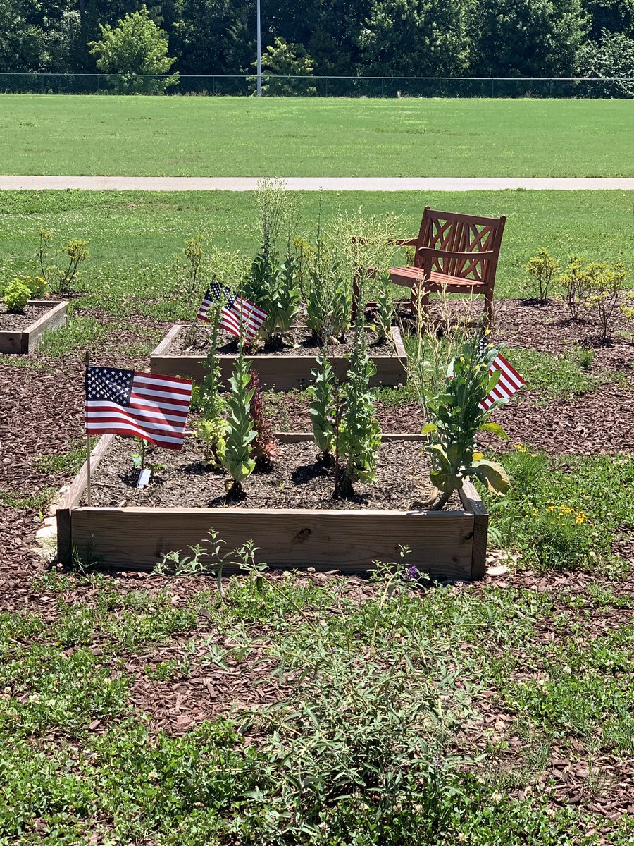 Summer camp Kiddos are enjoying our garden. They were so excited to see the tomatoes and blueberries. <a href="/EastGarnerES/">East Garner Elementary School</a> <a href="/oanderson2016/">Odessa Anderson</a>