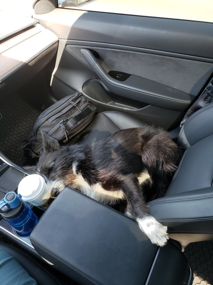tylerfogarty's tweet photo. Ride along work buddy today https://t.co/0ld1cd7jZ1